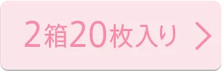 2箱20枚入り