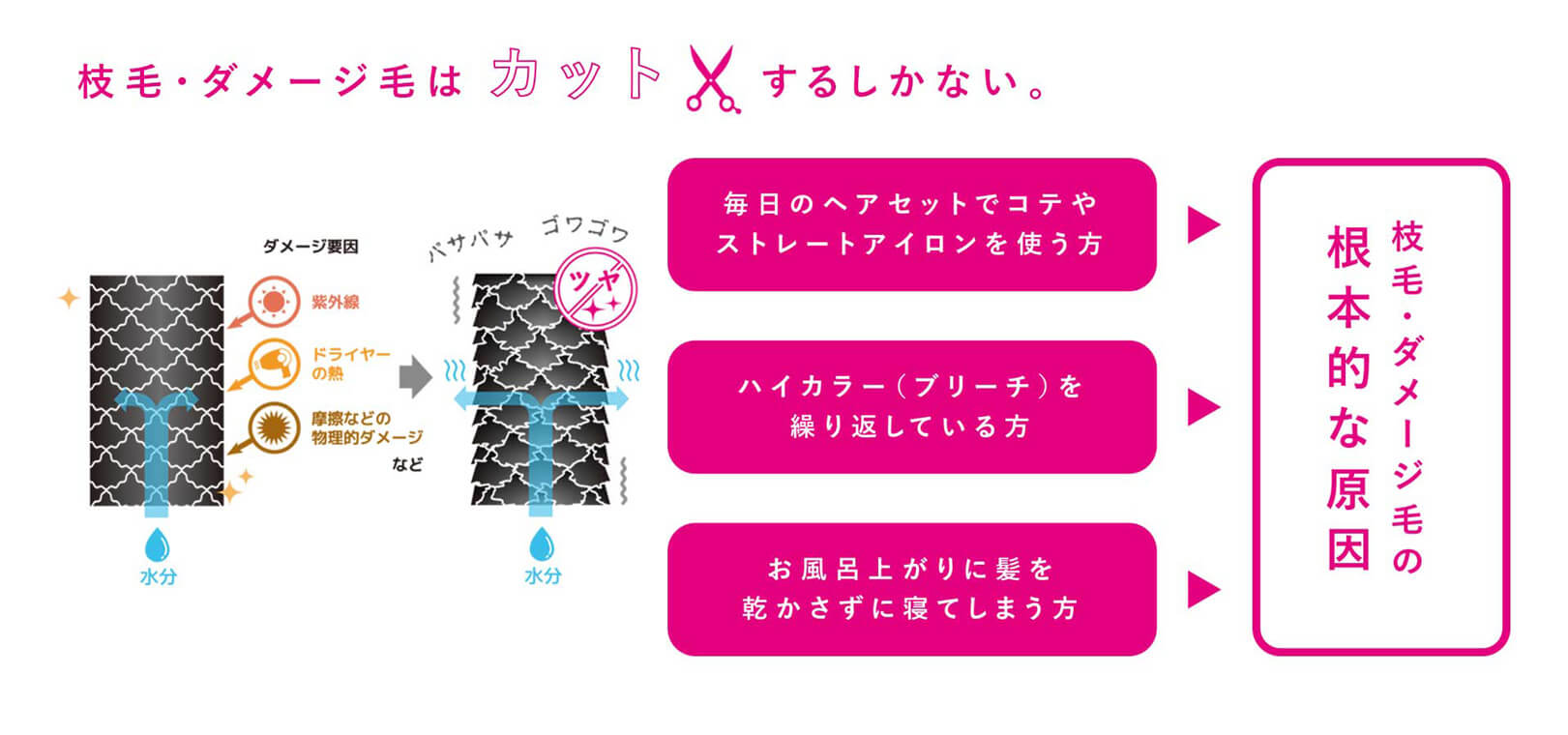 枝毛・ダメージ毛は カ ットするしかない。毎日のヘアセットでコテや ストレートアイロンを使う方　ハイカラー(ブリーチ)を繰り返している方　根本的な原因 枝毛・ダメージ 毛の　摩擦などの 物理的ダメージなど　お風呂上がりに髪を 乾かさずに寝てしまう方　ダメージ要因　バサバサ ゴワゴワ　紫外線　ドライヤーの熱　水分
