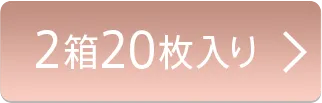 2箱20枚入り