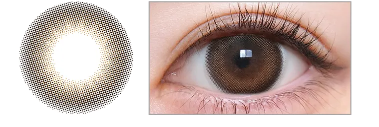 KYOKAイメージモデル【トリコニナル／TORICONINARU】｜涙目ブラウン