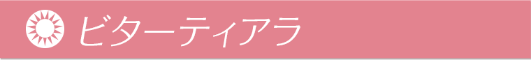本田翼イメージモデルカラコン Viewm 1day -ビュームワンデー| ビターティアラ