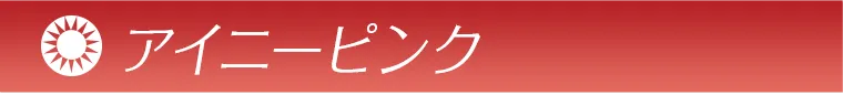 villege -ヴィレジェ| アイニーピンク