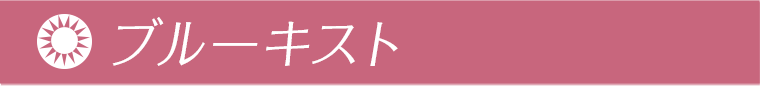 ブルーキスト