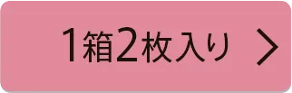 1箱10枚入り