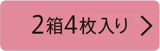 2箱20枚入り