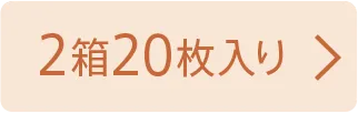 2箱20枚入り