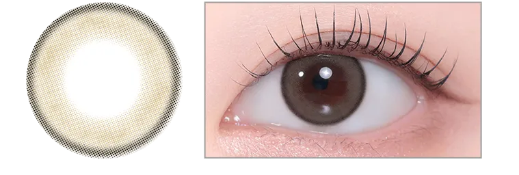 YOUS - ユース｜アッシュズブラウン