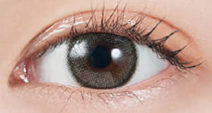 モラクワンデー- ダズルグレー