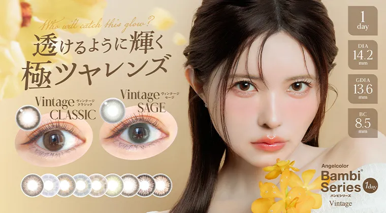 益若つばさ｜バンビヴィンテージワンデー