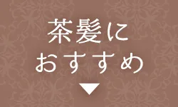 茶髪におすすめ
